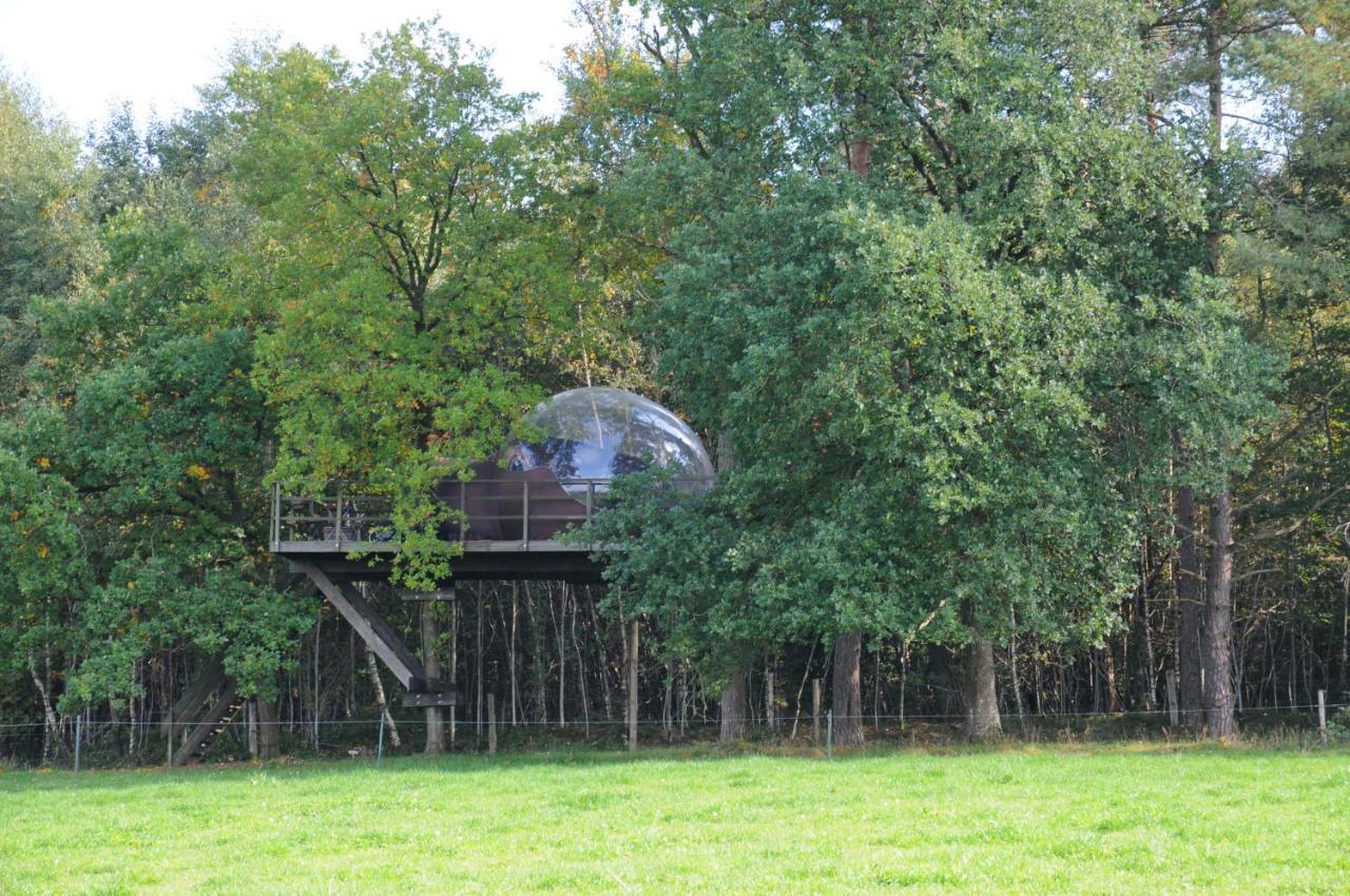 Sphair Perchee Hotel Fisenne Buitenkant foto